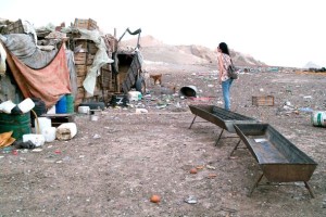 Slum in Marrakech